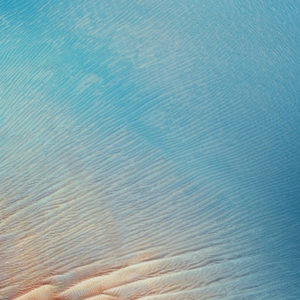 Meet your Posher, Daisy